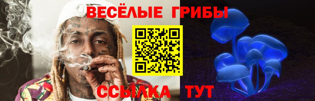 Ишим  Псилоцибиновые грибы ЛСД  Вход с VPN 