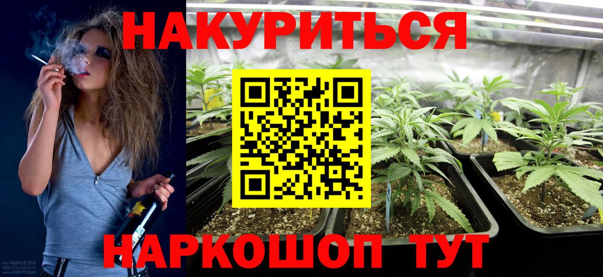 Каннабис гибрид Ишим